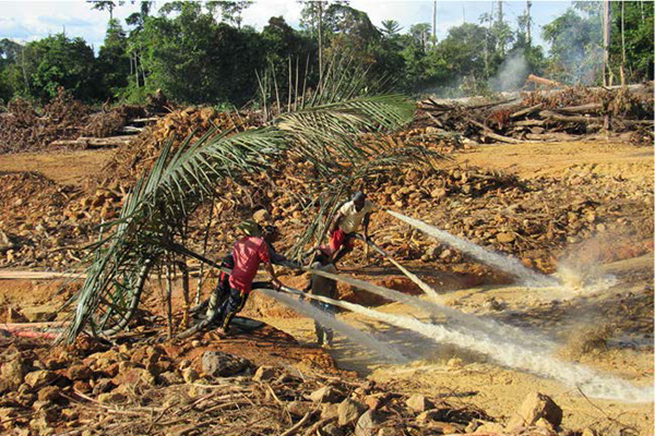 Mining in Guyana