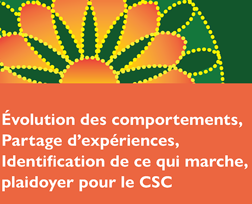Cover of the 2019 Francophone SBC Summit Report