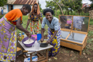 Three women preparing to bake cakes with a solar oven in Kenya