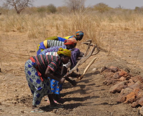 Workers digging to make dike repairs in Burkina Faso