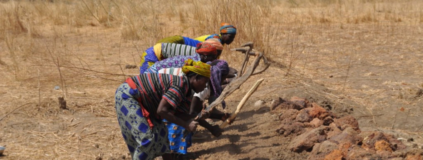 Workers digging to make dike repairs in Burkina Faso