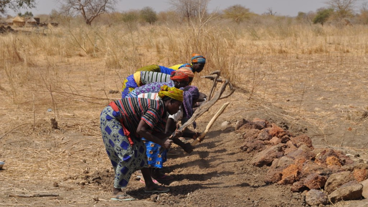 Workers digging to make dike repairs in Burkina Faso