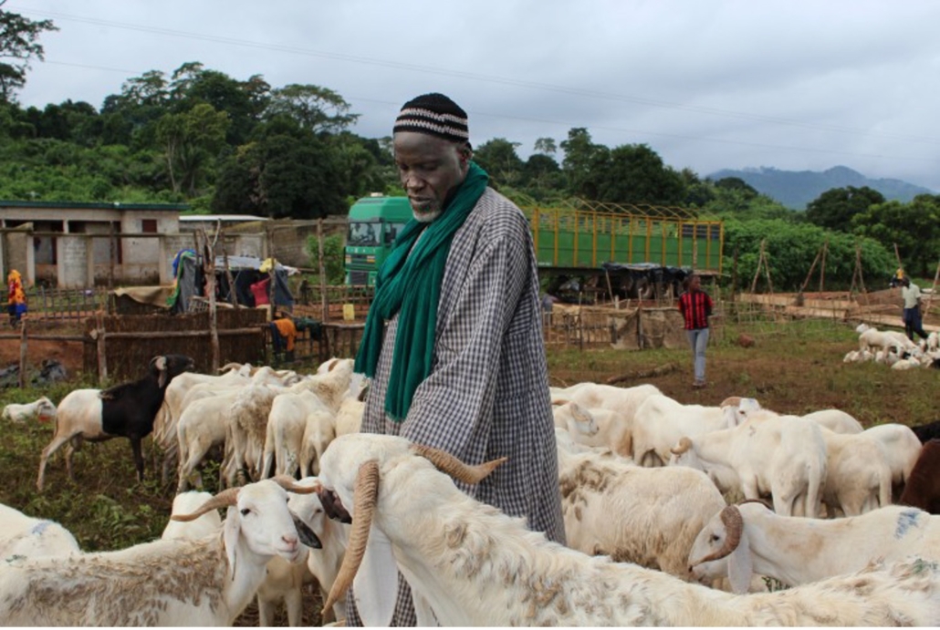 Breakthrough ACTION is developing messages to help prevent the spread of zoonotic diseases in Côte d'Ivoire. Photo: USAID