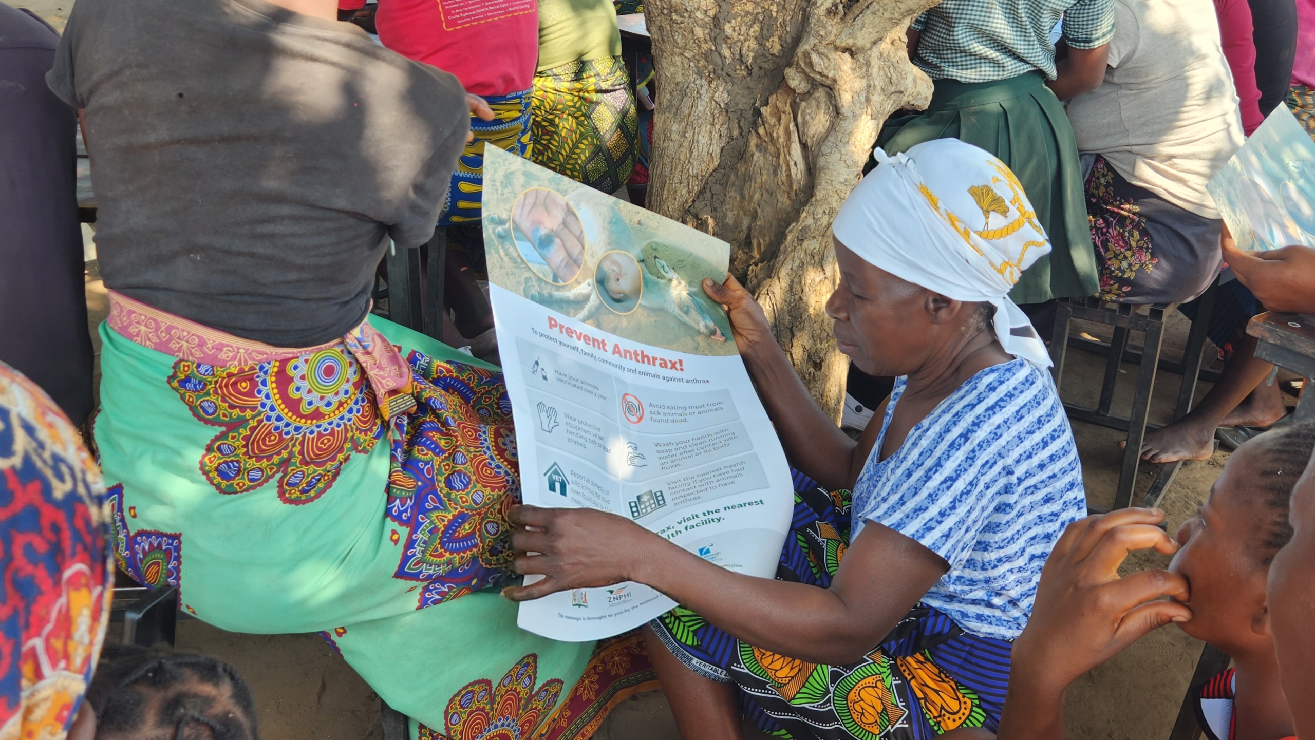 A woman reading an educational poster about anthrax.