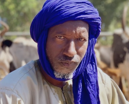 Man with cattle in the background