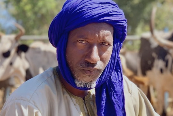 Man with cattle in the background