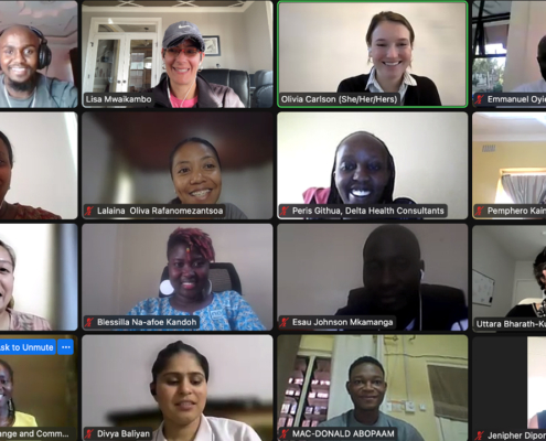 A screen capture of participants on Zoom