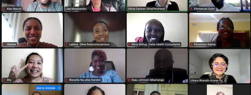 A screen capture of participants on Zoom