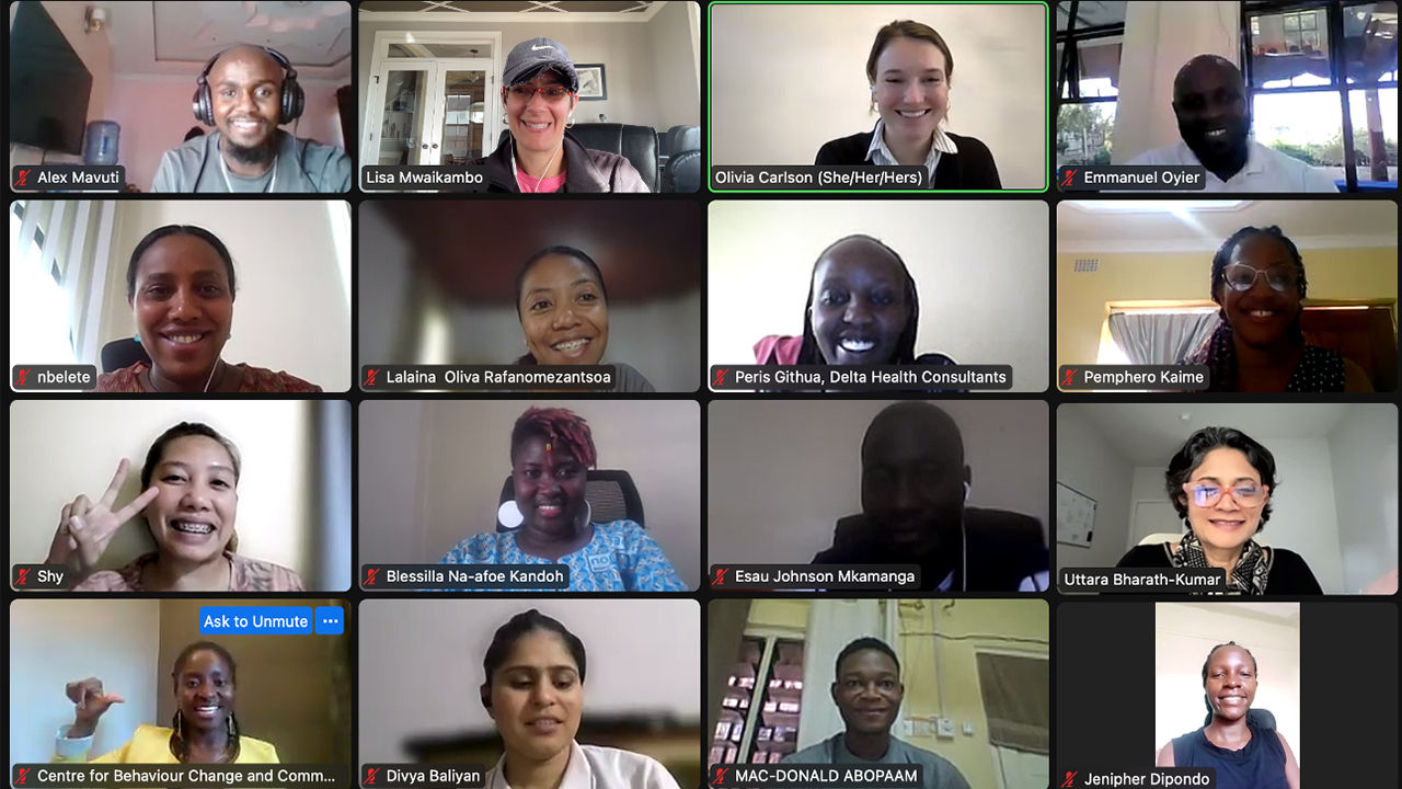 A screen capture of participants on Zoom