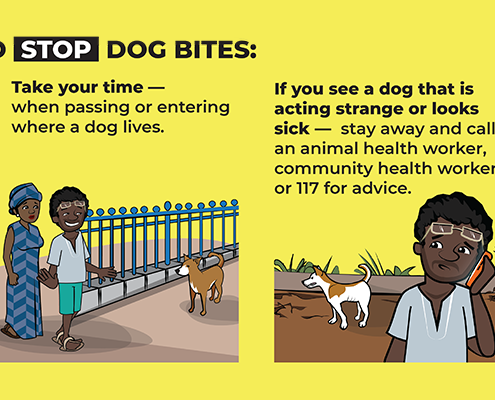 To Stop Dog Bites poster