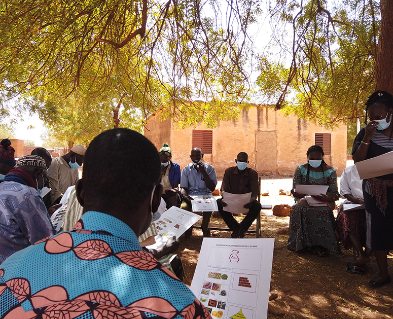 User-testing session on nutrition in Burkina Faso