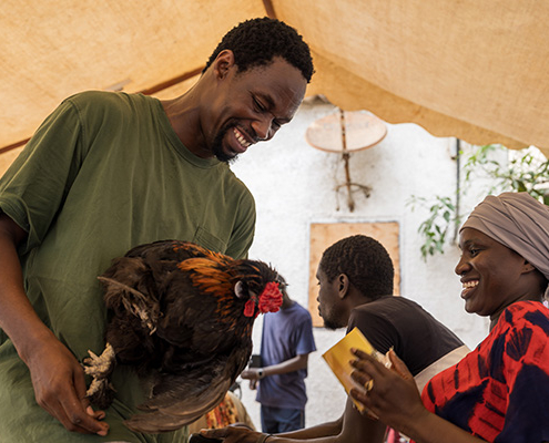 Behind-the-scenes shot from Drôle de Marché, a francophone mini-series modeling bird flu and rabies.