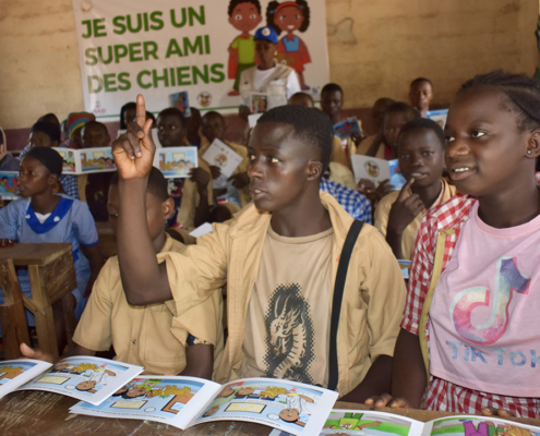 Young adults in Guinea discuss Super amie des chiens