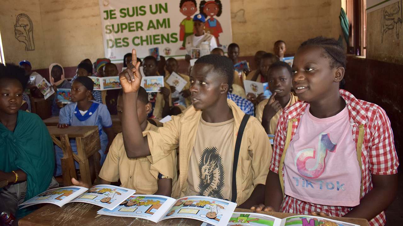 Young adults in Guinea discuss Super amie des chiens