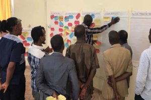 Several people working on step 4 of participatory data analysis process in Guinea