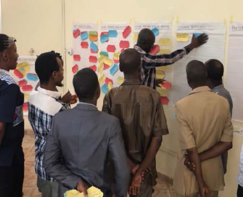 Several people working on step 4 of participatory data analysis process in Guinea