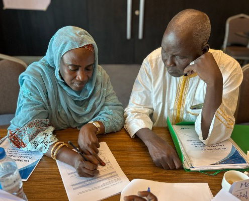 Training participants working in small groups in Niger