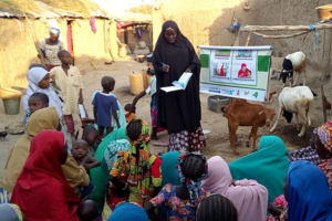 A woman stands, addressing a group of seated mothers and children in a Nigerian village. She holds open a book of referral cards. A flip chart hangs next to the woman, showing Breakthrough ACTION graphics about caring for children with fever.