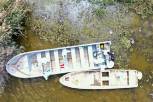 Health workers in protective gear in rowboats assess dead birds floating in a waterway.