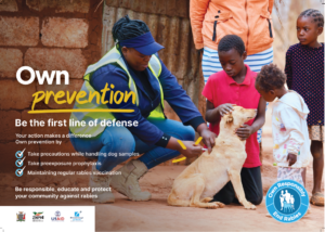 Thumbnail of Zambia's Own Prevention, Save lives poster. It features a health worker vaccinating a dog while three children look on. The full text is in the downloadable PDF on the related resource page.