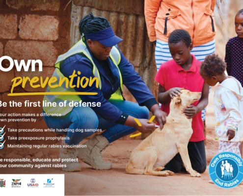 Thumbnail of Zambia's Own Prevention, Save lives poster. It features a health worker vaccinating a dog while three children look on. The full text is in the downloadable PDF on the related resource page.
